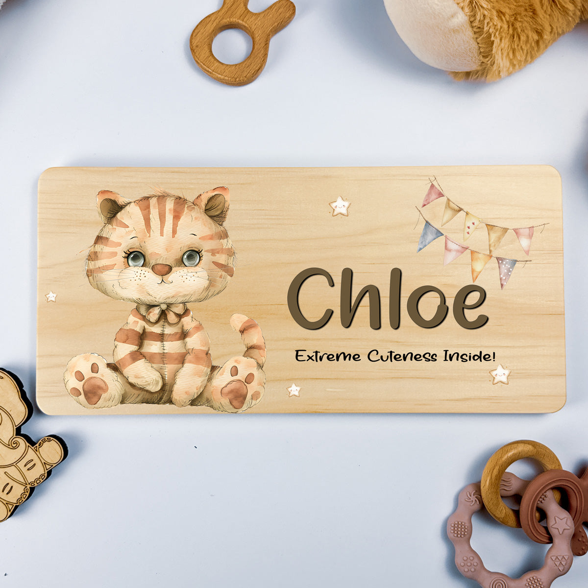 Personalised Door Sign – Cat Design