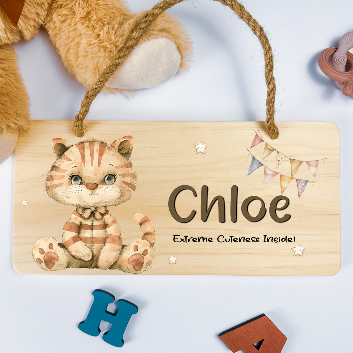 Personalised Door Sign – Cat Design